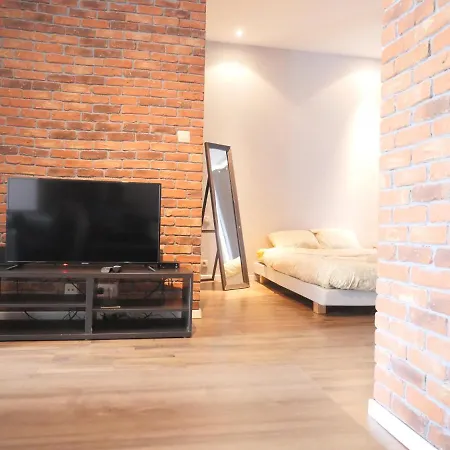 Loft Atypique Avec Terrasse * Bruxelles