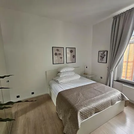 Cosy Studio Center Of *