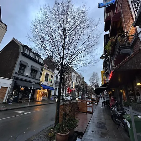 住宿加早餐酒店 My Haus European Commision 布鲁塞尔