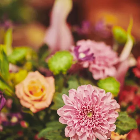 The Classic By 2go4 Grand Place