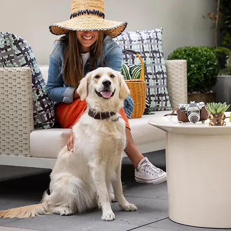 فندق L-avenue بروكسل