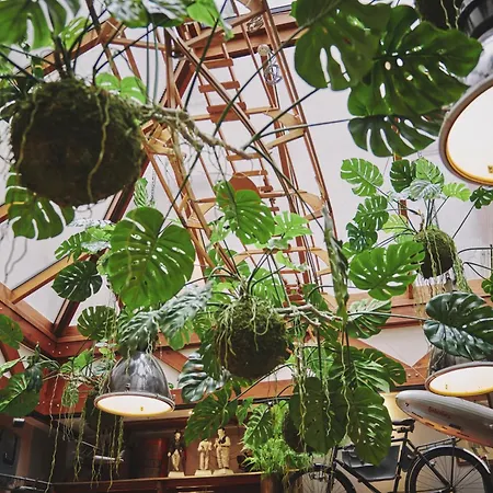 Hostel The Legacy By 2go4 Center *