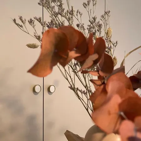 Appartamento Maison Cokoon Ixelles Bruxelles