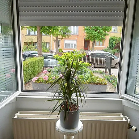 The Brussels-laken * Brüsszel