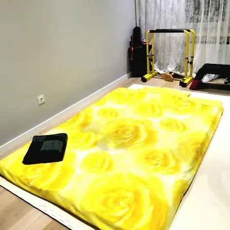 European Heart 2-bedroom Flat. 公寓