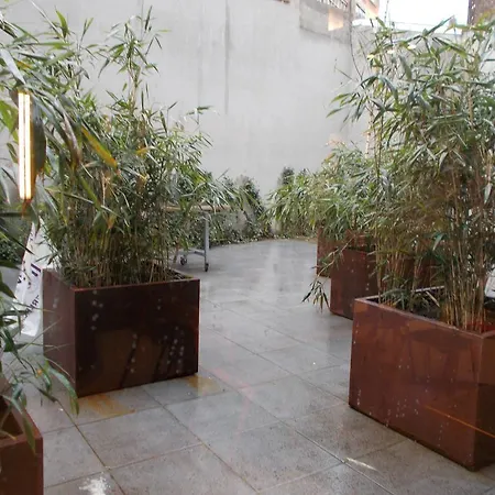 אכסניה Brxxl 5 Centre *