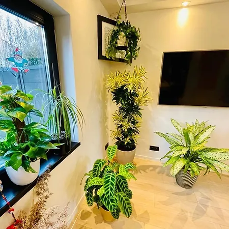 Homestay Town House With Garden - 1 With Shared Bathroom