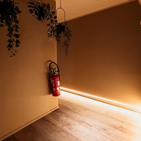 Golden Dove Luxury *