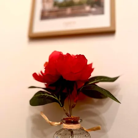 Apartament Charmant Studio - Quartier Chatelain Bruksela