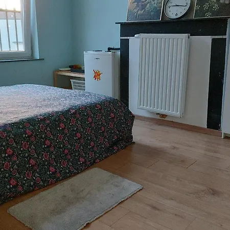 Séjour chez l'habitant Confortable Avec Un Lit Double à Schaerbeek Cle Bleu *