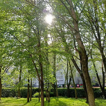 A&o Centrum בריסל