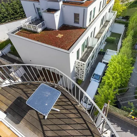 Elegance Cinquantenaire