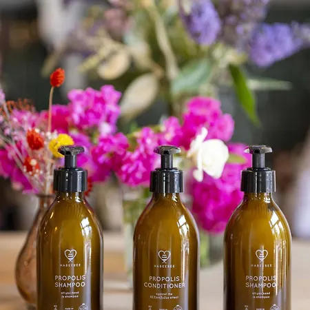 Made In Catherine 호텔 3*