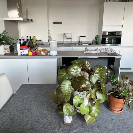 Logement Familial Proche Atomium *