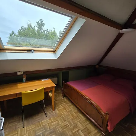 Fomed Quarto em Acomodações Particulares Bruxelas