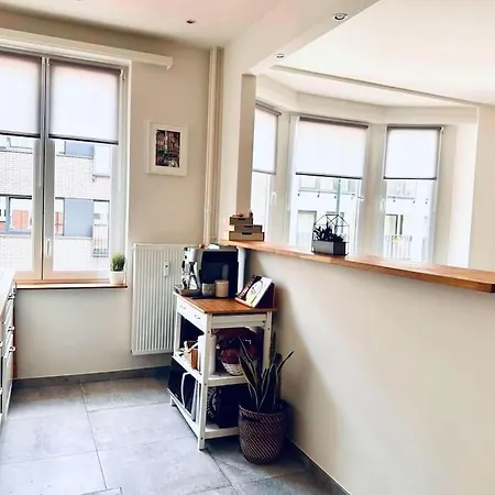 公寓 Magnifique Spacieux