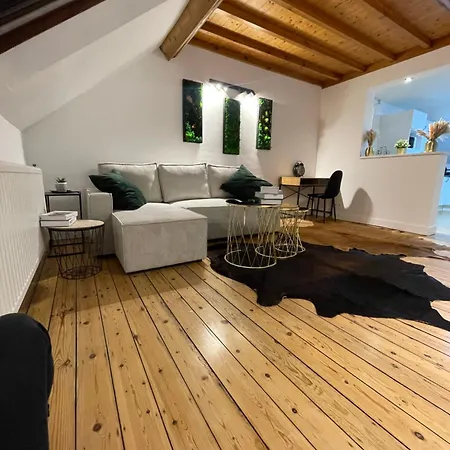 Attic European Quarter شقة بروكسل