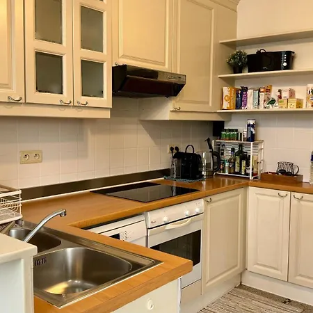 Cozy, Comfortable Apt, Well Located - Eu Ulb Vub 布鲁塞尔