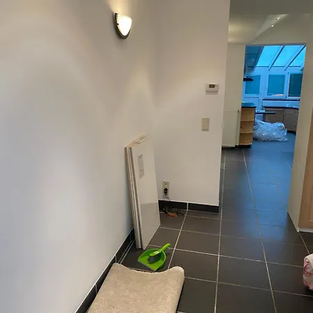 Fly Forest Rez Jardin