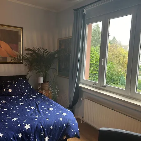 Serenity Big Bed & Breakfast Strombeek-Bever