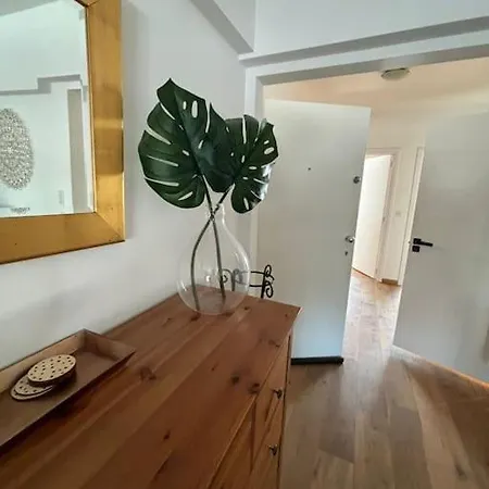 Apartament Cosy Emile Zola *