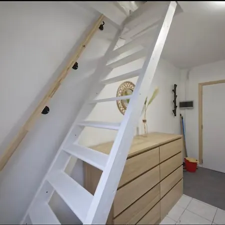 Nid Douillet Et Chaleureux *