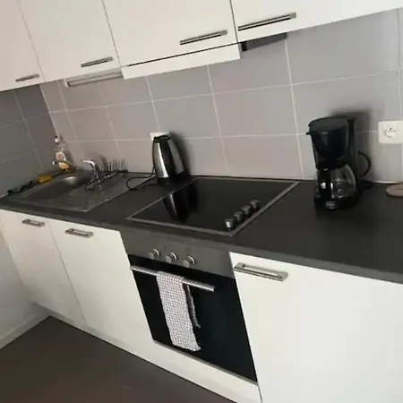 European Parliament *