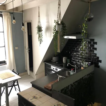 게스트하우스 Centre Petite Privee Au Sablon ! 브뤼셀