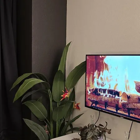 Cosy L