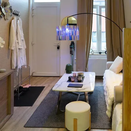 Vakantiehuis My House Jacuzzi Billiards Brussel