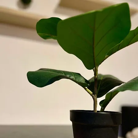 Lumineux - Quartier Louise * Bruxelles