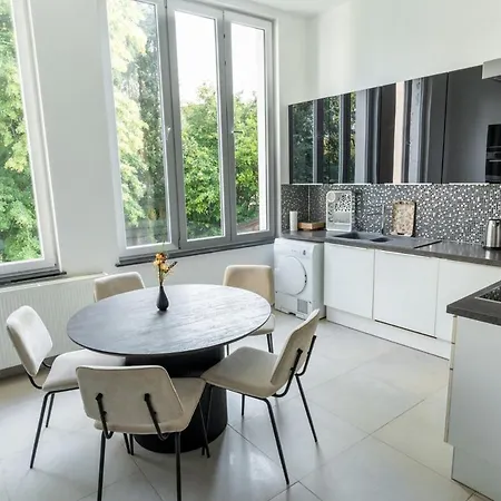 Appartement Cozy And Luxurious In Brussels, Laeken Brussel