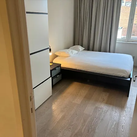 Comfortable Two Bedroom In Center דירה בריסל