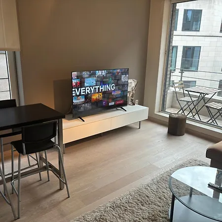 Comfortable Two Bedroom In Center דירה בריסל