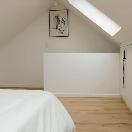 Blu Shell House 브뤼셀