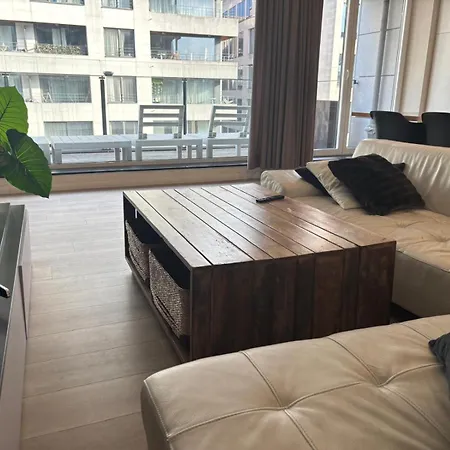 公寓 3chambres En Plein Centre-ville 布鲁塞尔