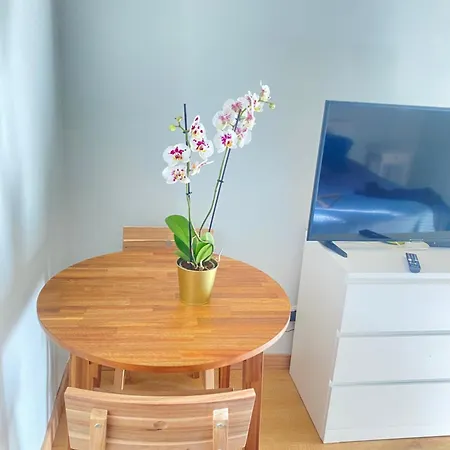 Chambre Chants D'oiseaux *