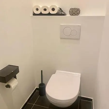 Dansaert Bright Loft * Bruksela