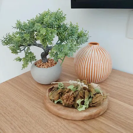 Apartamento Fontainas *