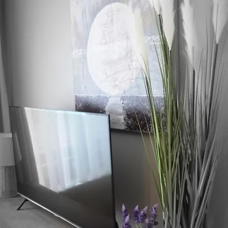 Cosy Jacqmain בריסל