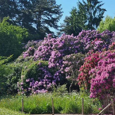 Chinese Pavilion Park - Magnificent * Brüksel