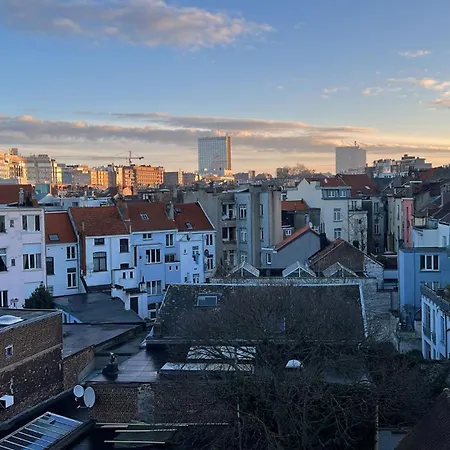 아파트 Cosy Flat, Location