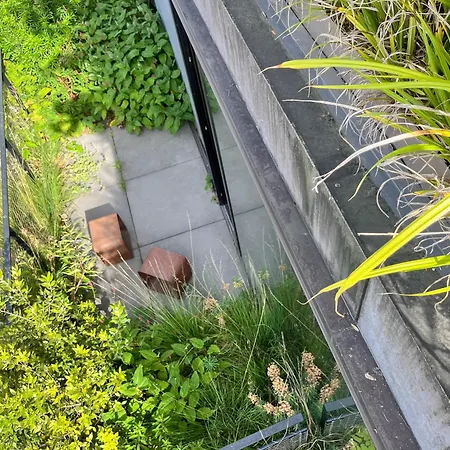 Teddy Picker 홈스테이