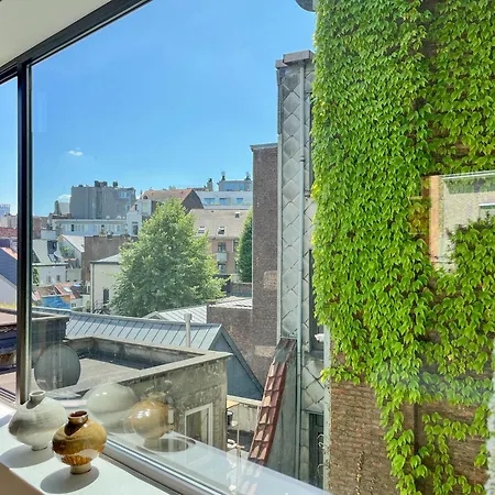 Teddy Picker 홈스테이 *