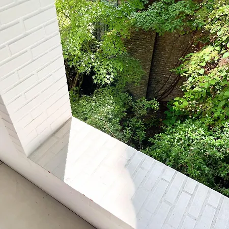 Teddy Picker * 브뤼셀