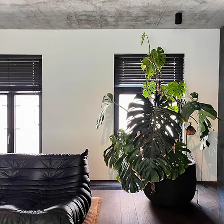 홈스테이 Teddy Picker *