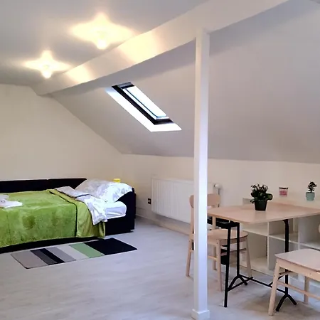 Comfortable Mini Loft In The Heart Of ブリュッセル