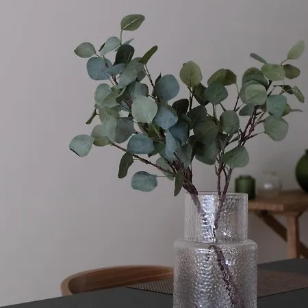 Apartment Center Spacious And *