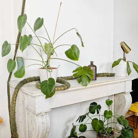 Druum ベッド・アンド・ブレックファスト ブリュッセル