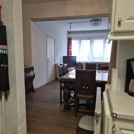 Large 1st Floor Apartment, Schaerbeek, * 브뤼셀